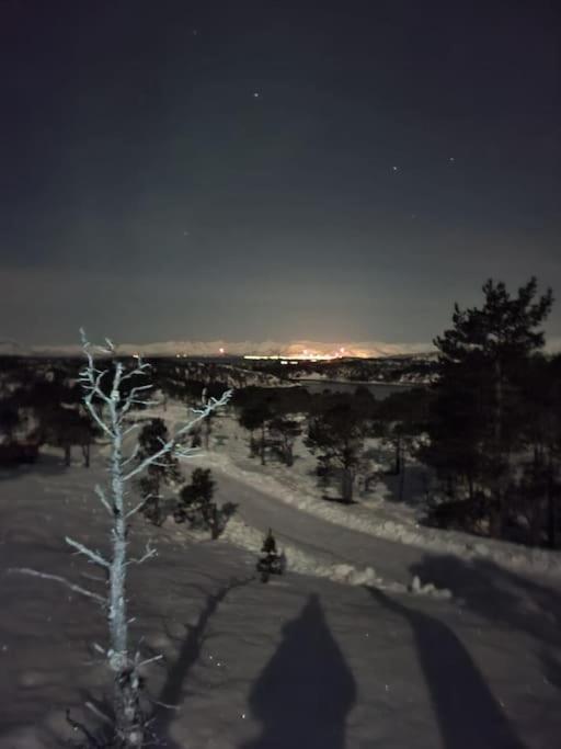 Koselig Og Moderne Leilighet, Meget Sentralt I Narvik Med Gratis Parkering! מראה חיצוני תמונה