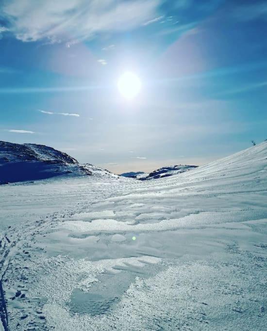 Koselig Og Moderne Leilighet, Meget Sentralt I Narvik Med Gratis Parkering! מראה חיצוני תמונה