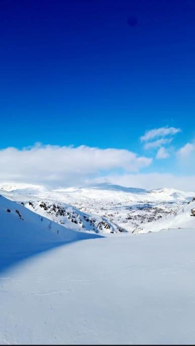Koselig Og Moderne Leilighet, Meget Sentralt I Narvik Med Gratis Parkering! מראה חיצוני תמונה